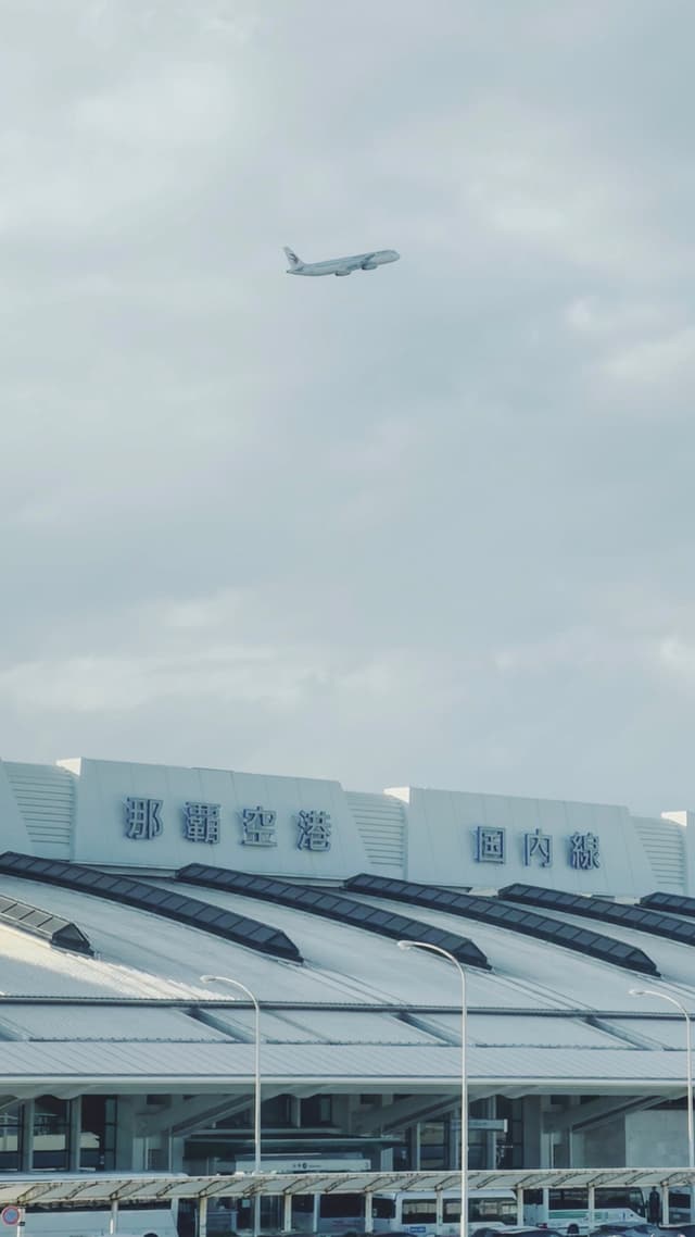 飞越天空和大海